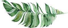 remedy law leaf 3