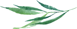 remedy lawleaf 8