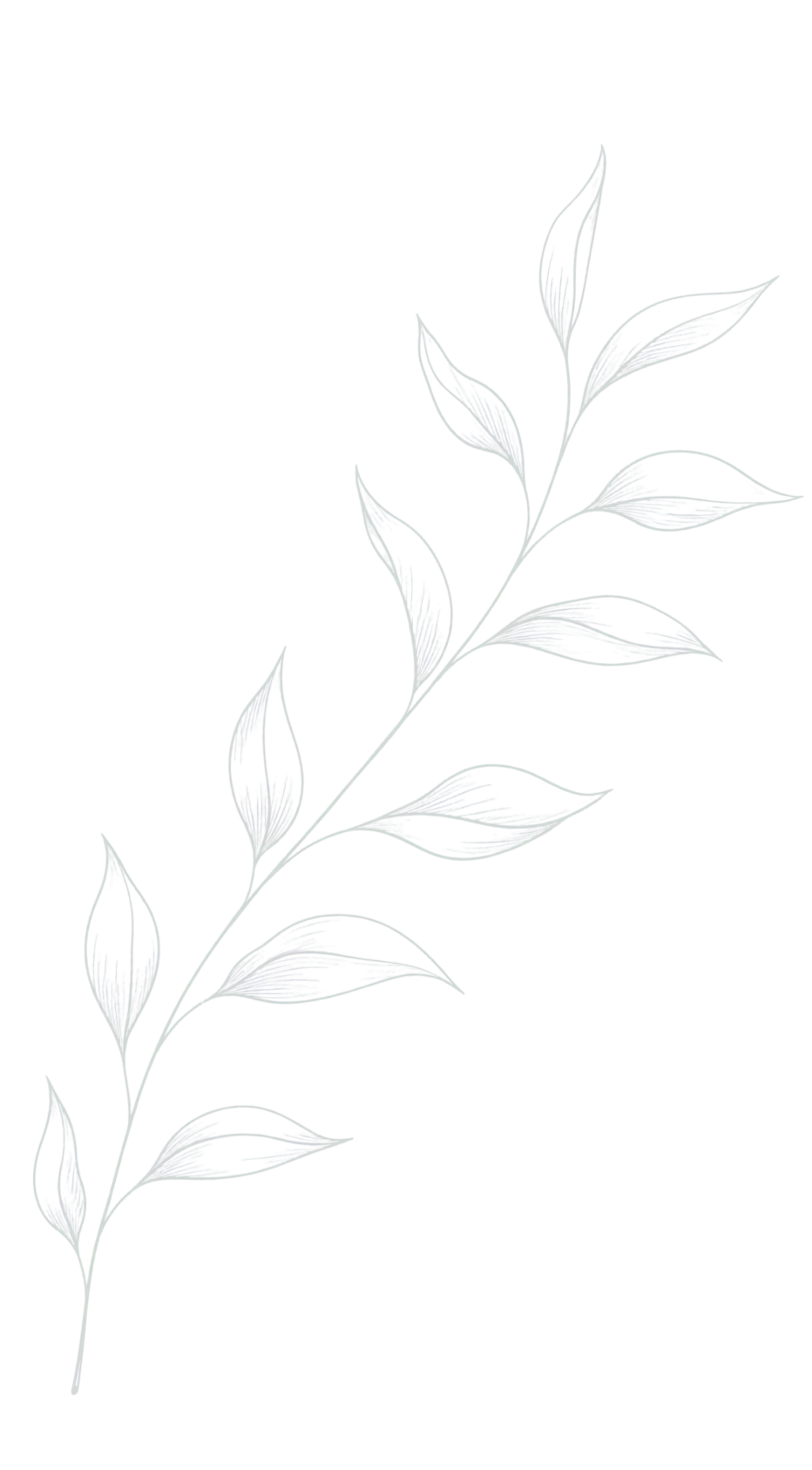 decorative leaf